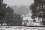 resIMG_20171208_115154_9290.JPG